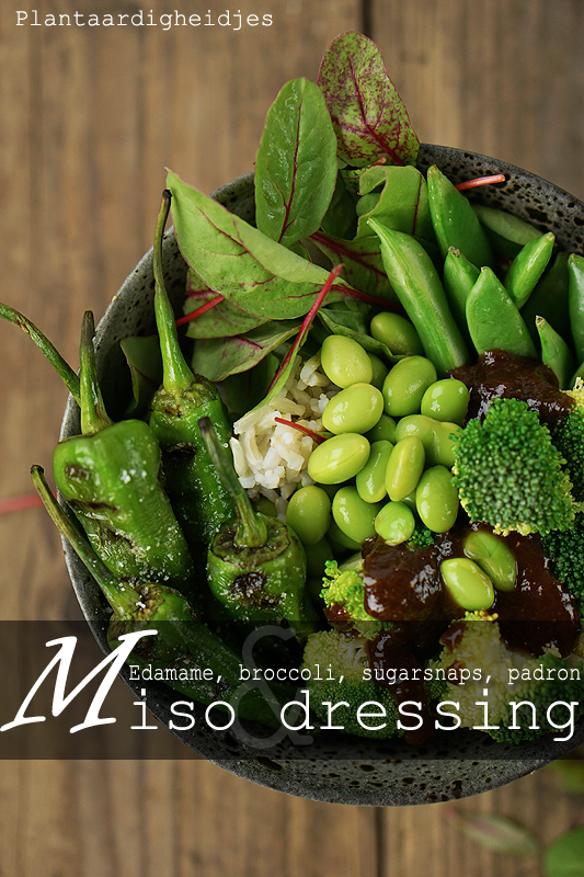 groene groentes met miso dressing 3