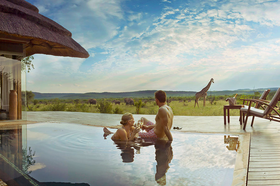 experiences romantic getaways trip madikwe couple elephants giraffe pool