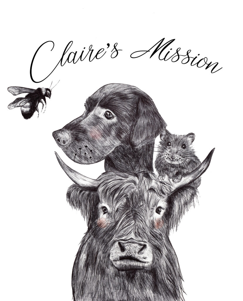 Claire's Mission logo