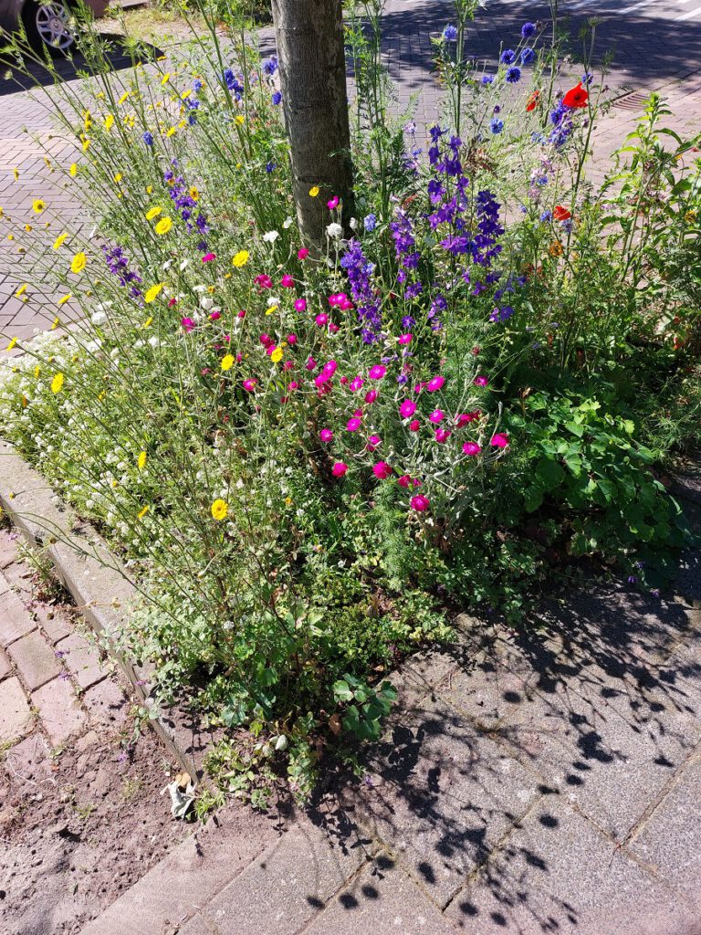 Tegelwippen in je straat