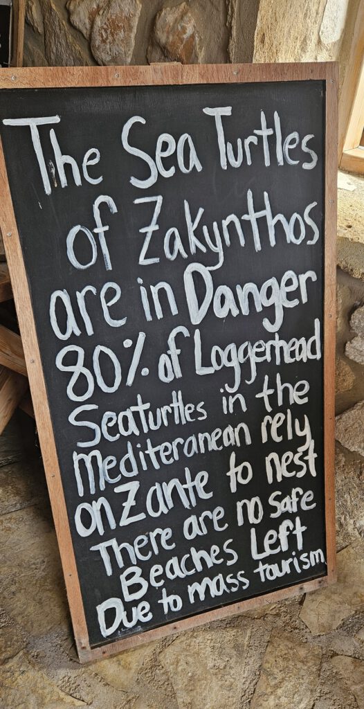 Claire’s Mission: mama met een missie 8 Zakynthos turtle centre