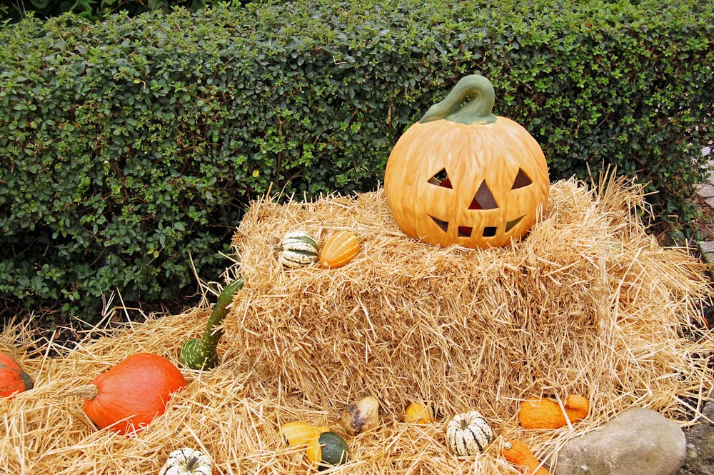 Samhain vieren met het hele gezin: alles wat je wilt weten incl. tips en inspiratie! 8 Samhain vieren met het hele gezin: alles wat je wilt weten incl. tips en inspiratie!