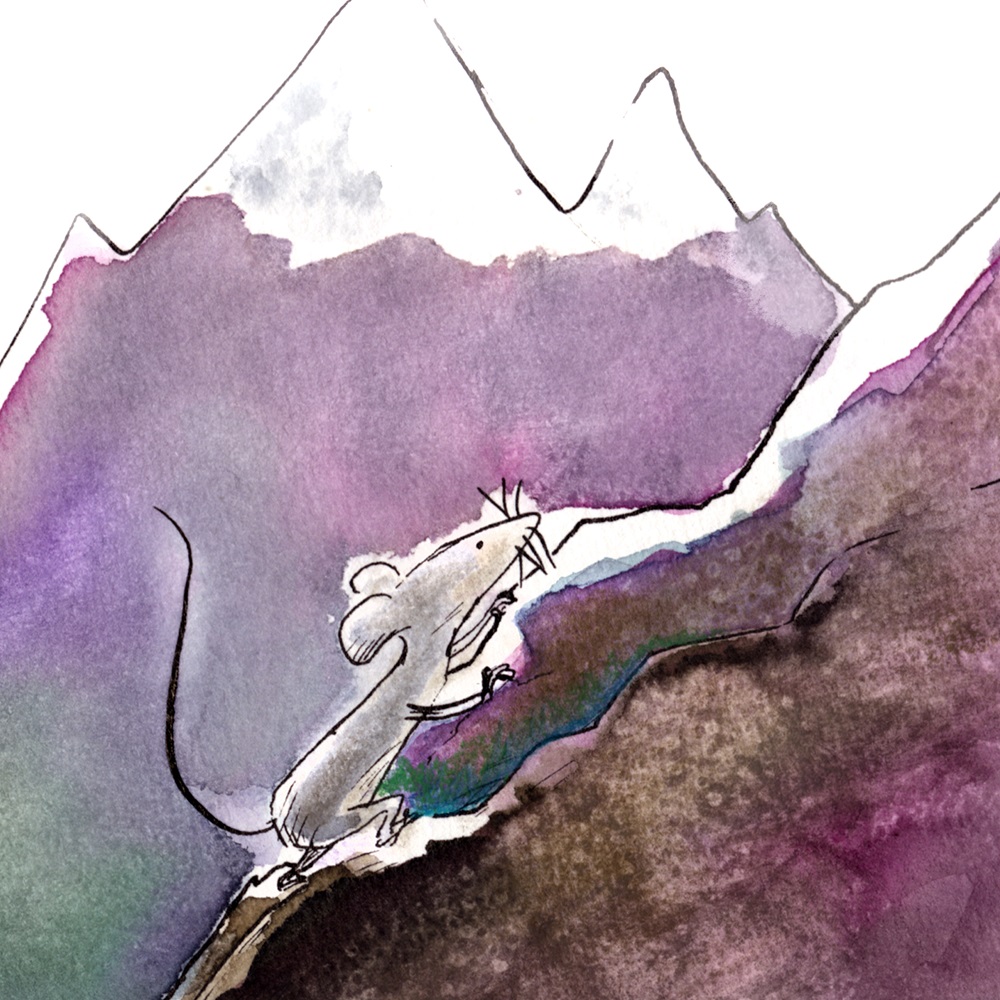 In gesprek met Xandra van Illustreren kun je leren & Inktwit 9 Mol en Muis1 - Beer - Xandra van Illustreren kun je leren & Inktwit