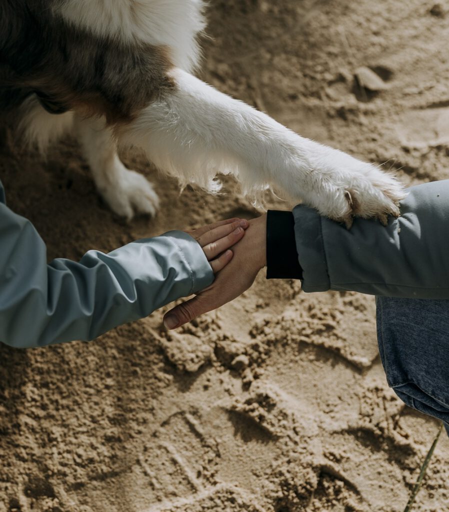 In gesprek met Daphne van Kwispel Kids Coaching 7 In gesprek met Daphne van Kwispel Kids Coaching
