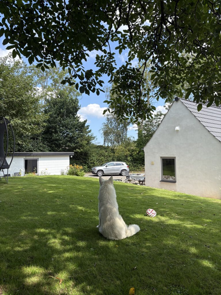 In gesprek met Nathalie Mandemaker van Planeet Pienter