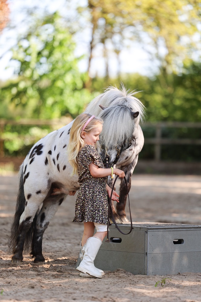 In gesprek met Greetje Hakvoort van Human & Horse Academy 7 In gesprek met Greetje Hakvoort van Human & Horse Academy