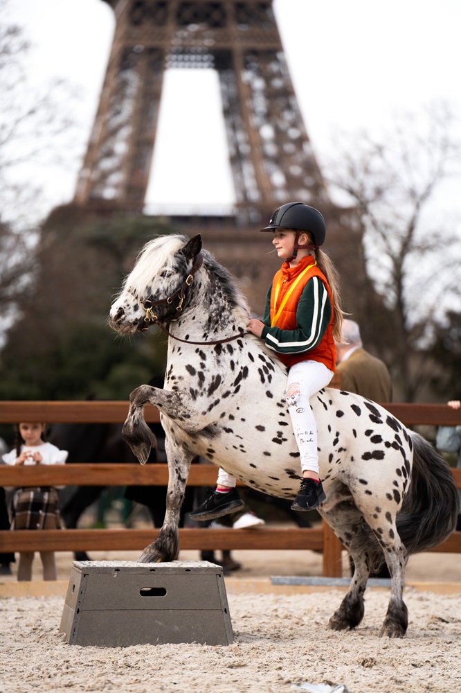 In gesprek met Greetje Hakvoort van Human & Horse Academy 8 In gesprek met Greetje Hakvoort van Human & Horse Academy